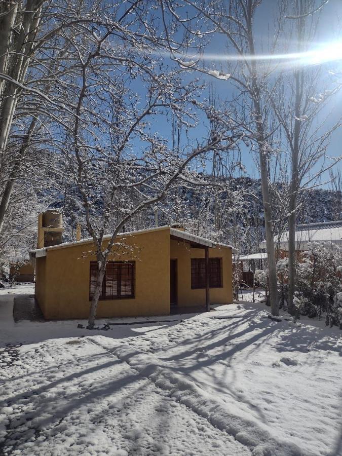 Cabana Pura Vida Potrerillos Exterior foto